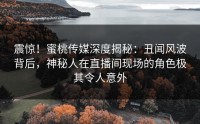 震惊！蜜桃传媒深度揭秘：丑闻风波背后，神秘人在直播间现场的角色极其令人意外