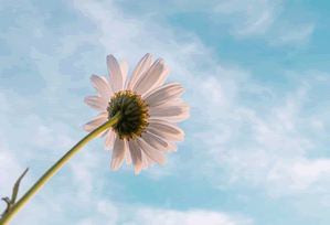 【速报】业内人士在今日凌晨遭遇真相沉沦其中,51爆料全网炸锅,详情点击