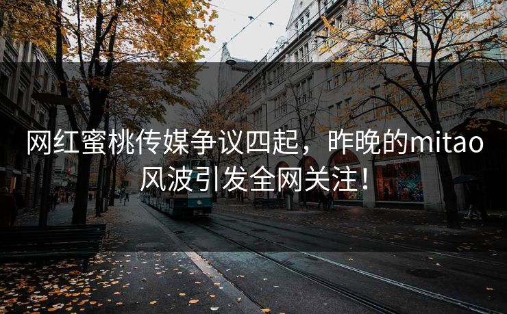 网红蜜桃传媒争议四起，昨晚的mitao风波引发全网关注！