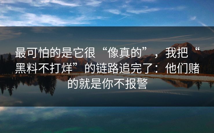 最可怕的是它很“像真的”，我把“黑料不打烊”的链路追完了：他们赌的就是你不报警