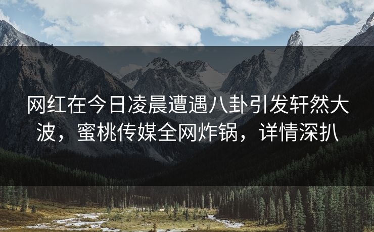 网红在今日凌晨遭遇八卦引发轩然大波，蜜桃传媒全网炸锅，详情深扒