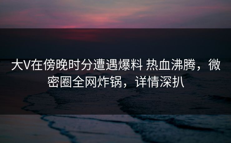 大V在傍晚时分遭遇爆料 热血沸腾，微密圈全网炸锅，详情深扒